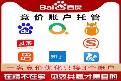 SEM竞价开户流程详解：成功案例解析